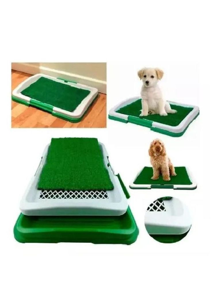 Baño ecológico para perros y mascotas-1