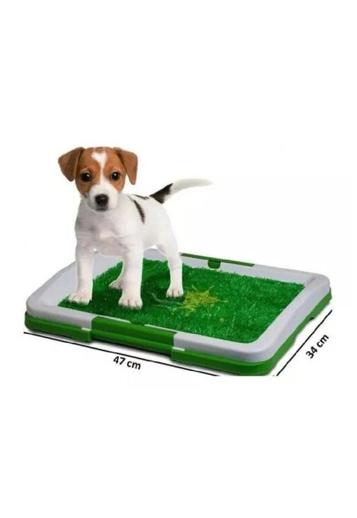 Baño ecológico para perros y mascotas-2