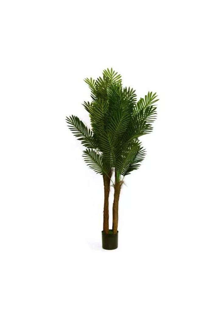 Planta Artificial Palmera 1.80m BigHouse-0