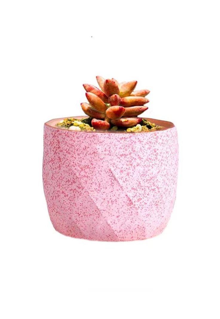 Macetero Geométrico Cerámica Suculentas 7.2x6cm Pack 10 Rosa-0