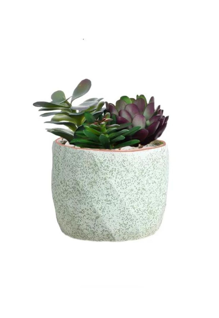 Macetero Geométrico Cerámica Suculentas 7.2x6cm Pack 10 Rosa-1