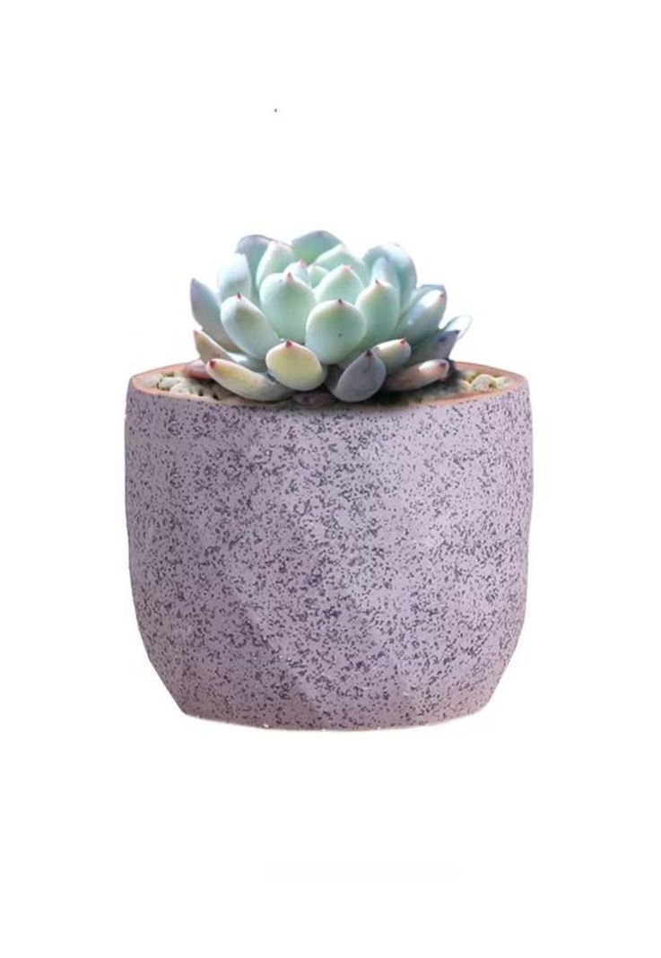 Macetero Geométrico Cerámica Suculentas 7.2x6cm Pack 10 Rosa-2