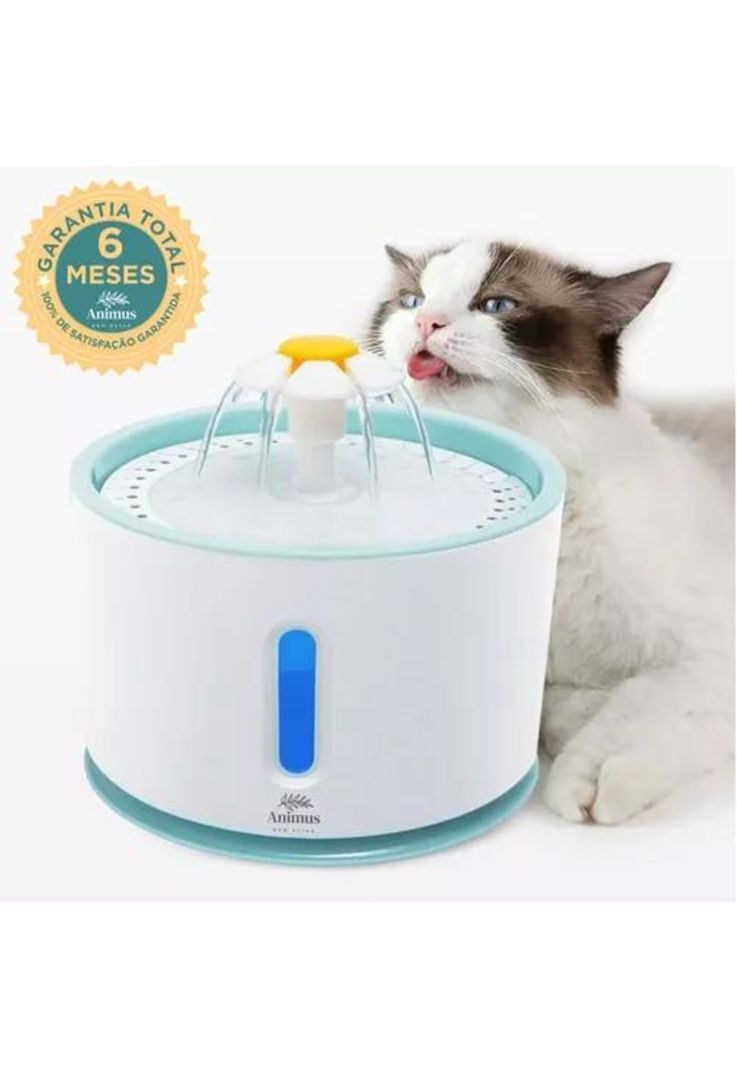 Bebedero Tipo Fuente para Perros y Gatos - Con Filtro y Purificación, Color Blanco-4