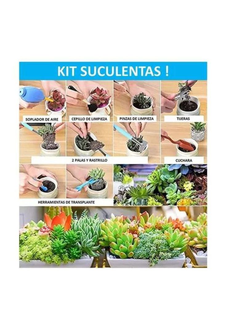 Set de 50 piezas de jardinería pro para suculentas y jardín-4