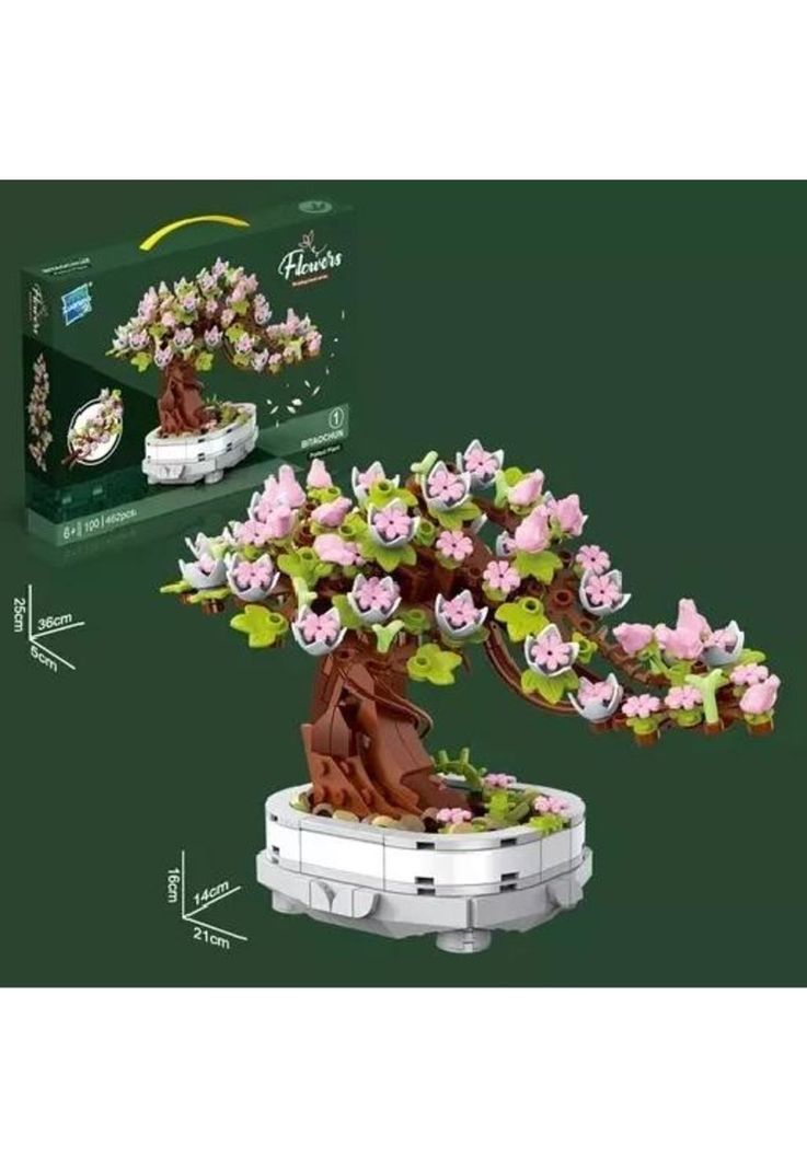 Bloques de flores de cerezo bonsai suculentas blanco-4