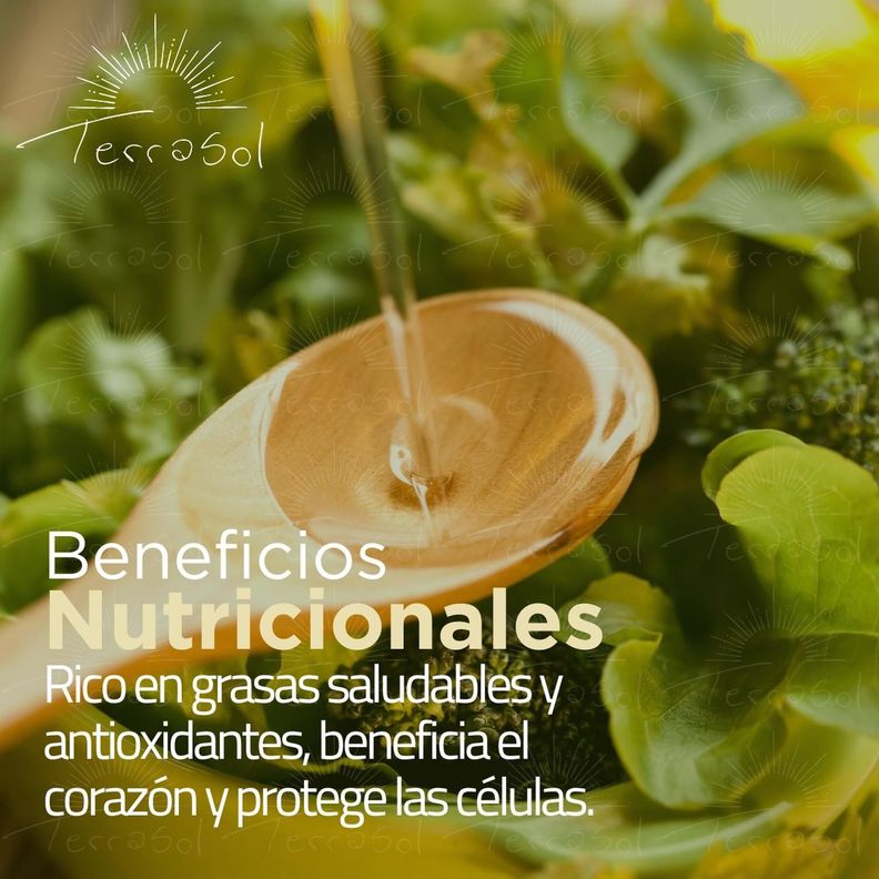 Aceite de Oliva Extra Virgen 5L Bidones Terrasol-4
