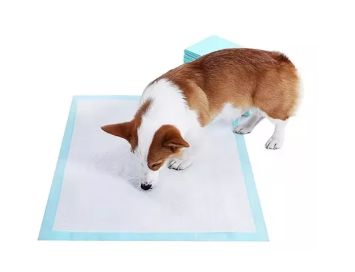 20 Pañales Tipo Sabanillas Mascotas Perros Y Gato 90x60 Cms-2