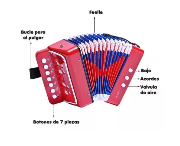 Mini Acordeón De Juguete Para Niños 7 Notas-2