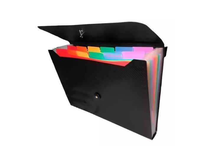 Carpeta Organizadora Archivo A4 Multicolor13 Fuelles-1