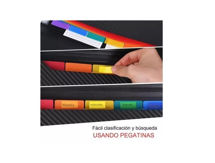 Carpeta Organizadora Archivo A4 Multicolor13 Fuelles-5
