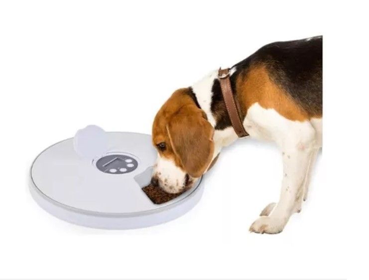 Dispensador De Alimento Automático Para Perros Gatos-1