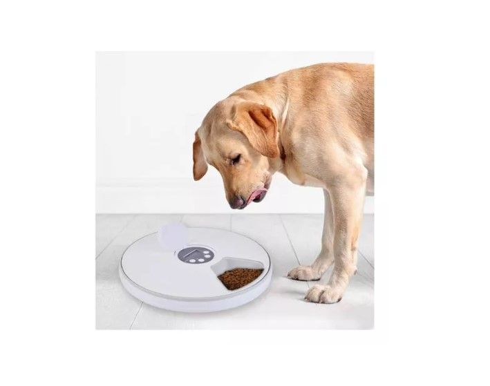 Dispensador De Alimento Automático Para Perros Gatos-5