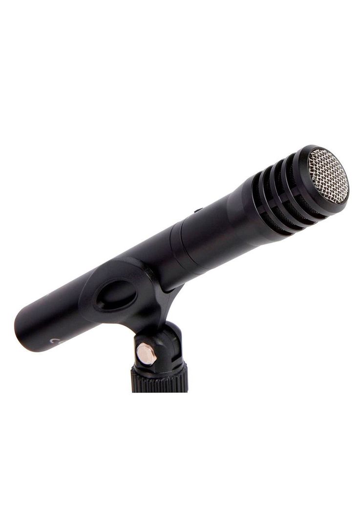 Microfono Condensador Tascam Con Batería + Soporte Y Estuche TM-60-1