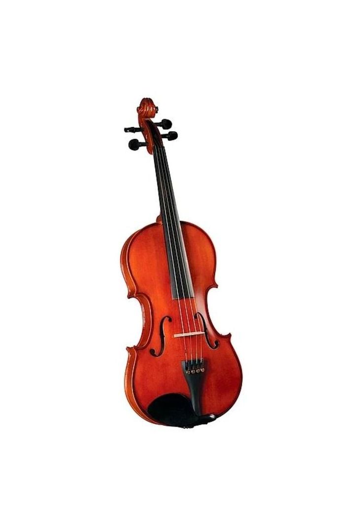 Viola Cervini 14" HVA-150 14 Negro