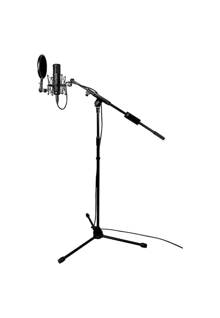 Atril De Microfono Tascam De Estudio C/Contrapeso Medio TM-AM1-1