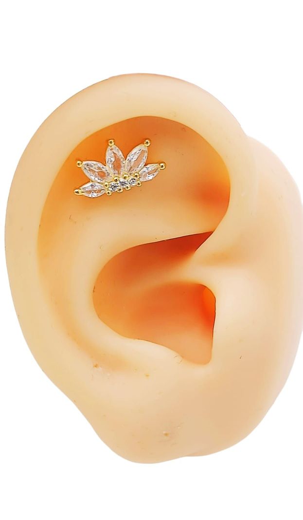 Aro Piercing Corona Helix Flat Plata 925 Chapada En Oro 18k-4
