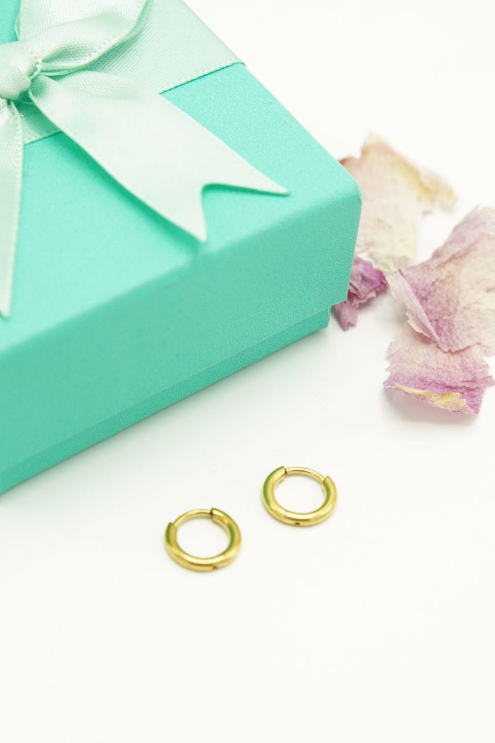 Argollas Circonios 8mm Titanio Astm F136 Chapado En Oro 18k-1