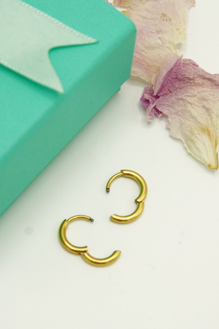 Argollas Circonios 8mm Titanio Astm F136 Chapado En Oro 18k-5