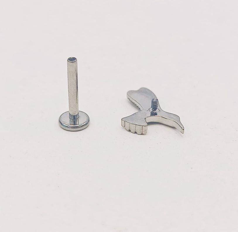 Piercing Labret Astm F136 G23 Acero Titanio Tragus Colibri-6
