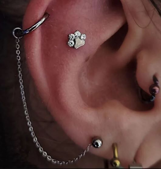 Piercing Puente Nasal 35mm Conectora F136 Titanio-7