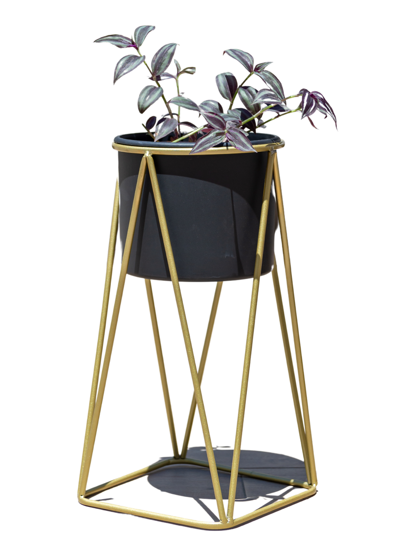 Pedestal Gala dorado con maceta Negra S-0