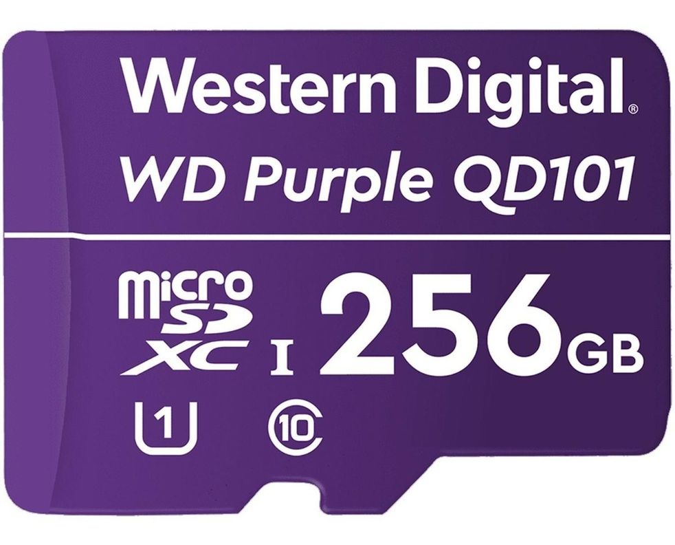Memoria Micro Sd 256gb Western Digital Videovigilanci Purple-1