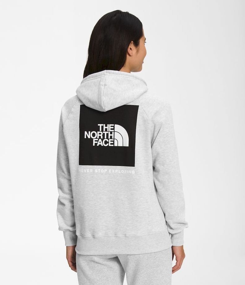 Poleron The North Face Mujer Box Nse Pullover Hoodie Gris-0