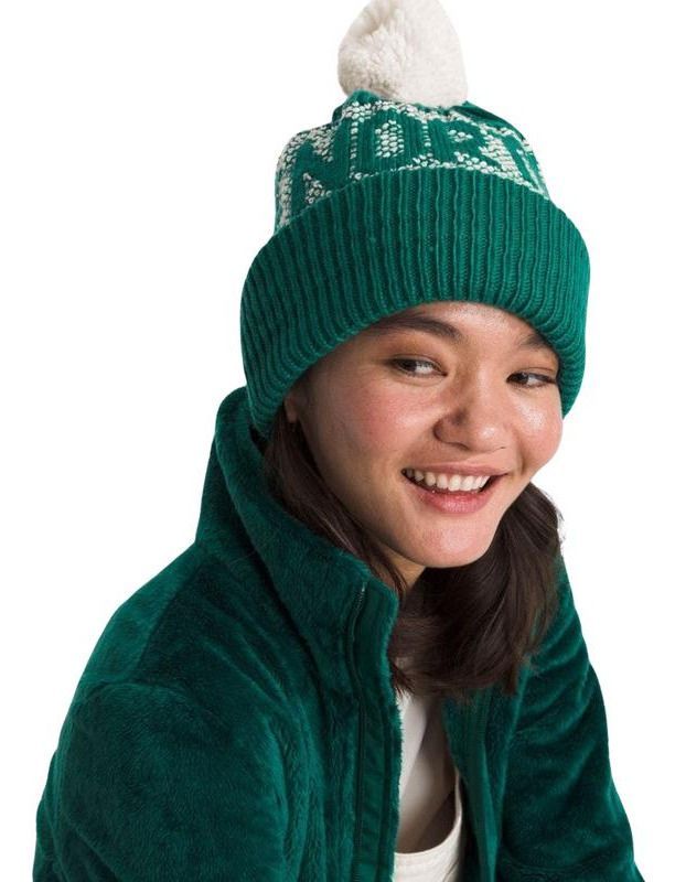 Gorro The North Face Retro Cabin Verde-1