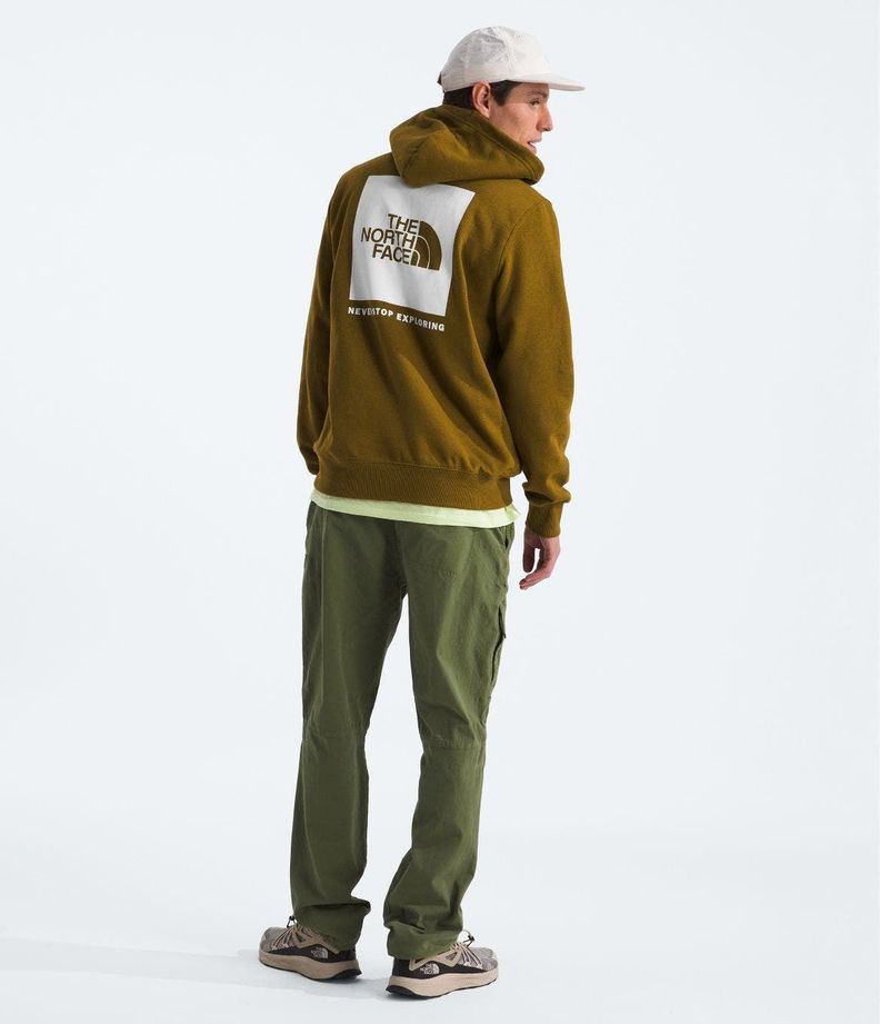 Poleron The North Face Hombre Box Nse Pullover Hoodie Café-1