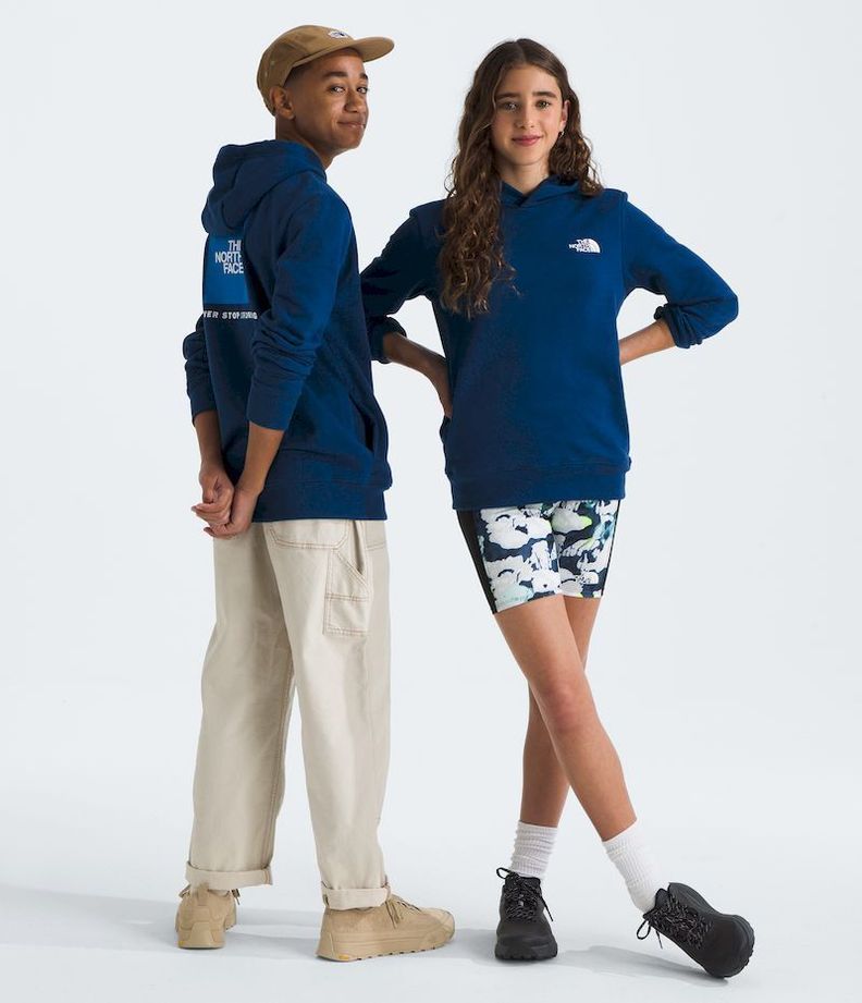 Poleron The North Face Teen Box Nse Pullover Hoodie Azul-0