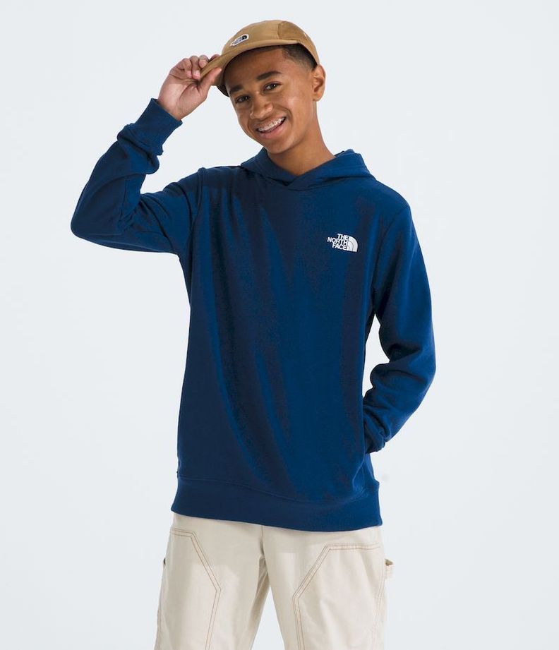 Poleron The North Face Teen Box Nse Pullover Hoodie Azul-1