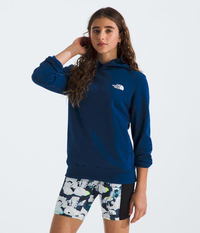 Poleron The North Face Teen Box Nse Pullover Hoodie Azul-2