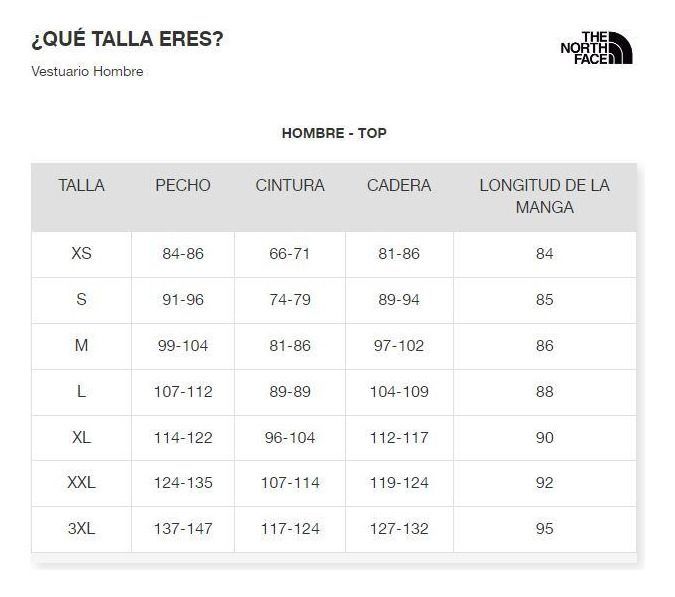 Polera The North Face Hombre Manga Corta Half Dome Negro-2