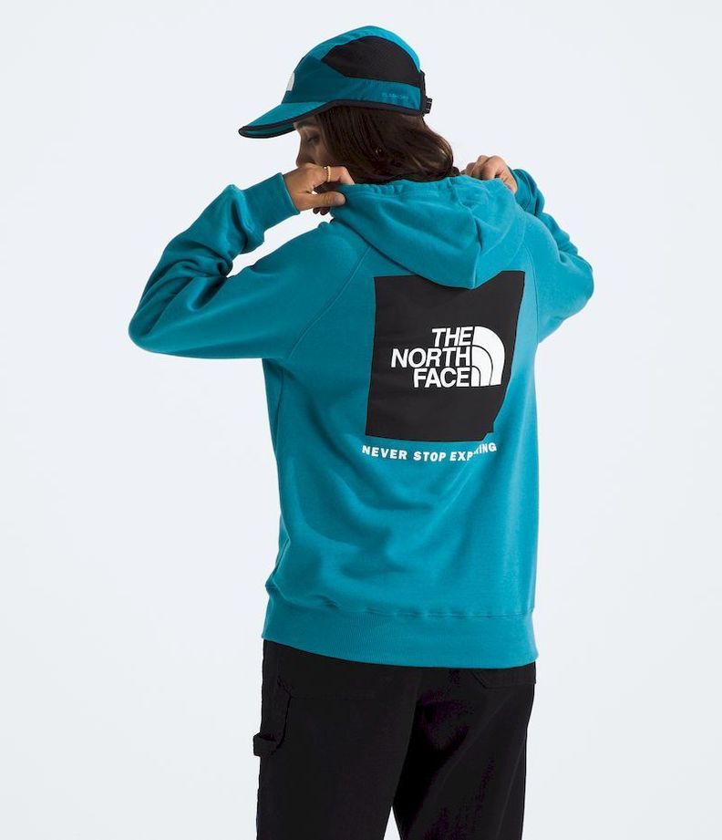 Poleron The North Face Mujer Box Nse Pullover Hoodie Azul-0
