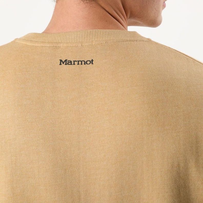 Polerón Marmot Hombre Logo Crew Beige-3