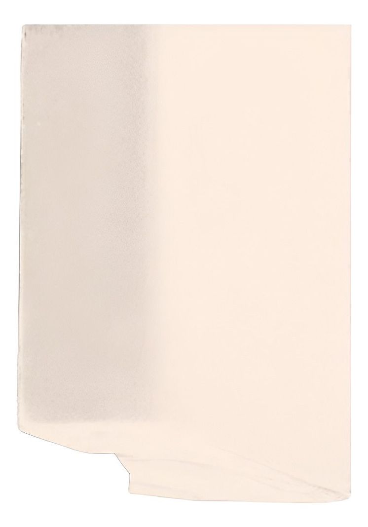 Cubrejunta Terminal 40x2mm 50mts Beige Dvp