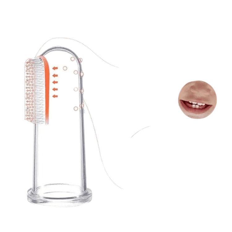 Cepillo de Dientes - Estimulador-4