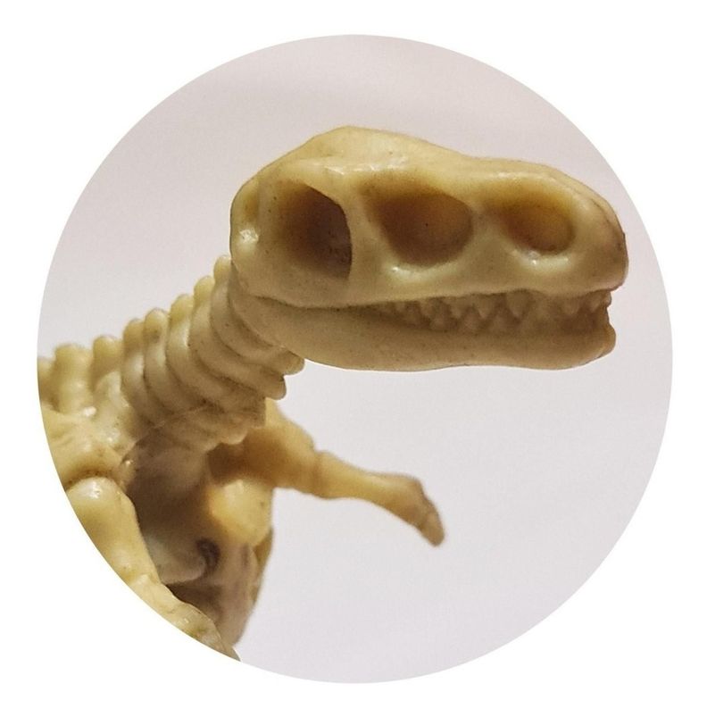 Dinosaurios Huesos Tiranosaurio Rex Fosil Inigualable Full-0