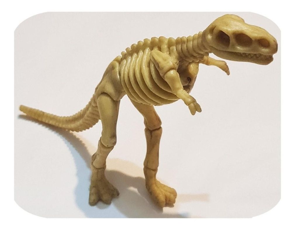 Dinosaurios Huesos Tiranosaurio Rex Fosil Inigualable Full-2
