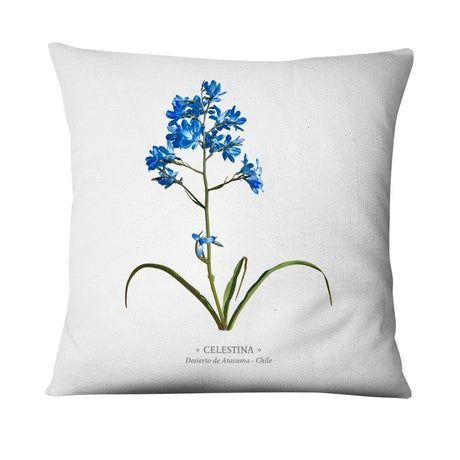 Funda Celestina Blanco