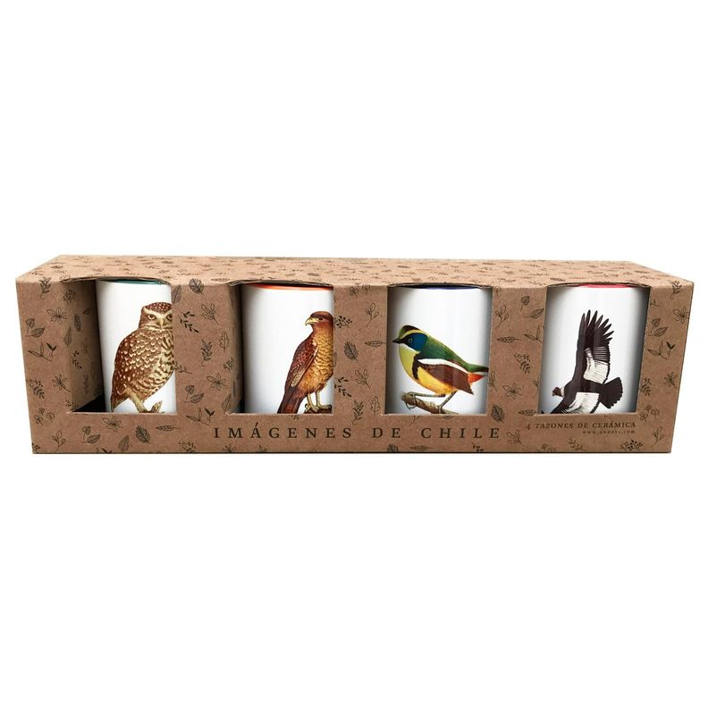 Set De 4 Tazones De Pájaros N°3-1