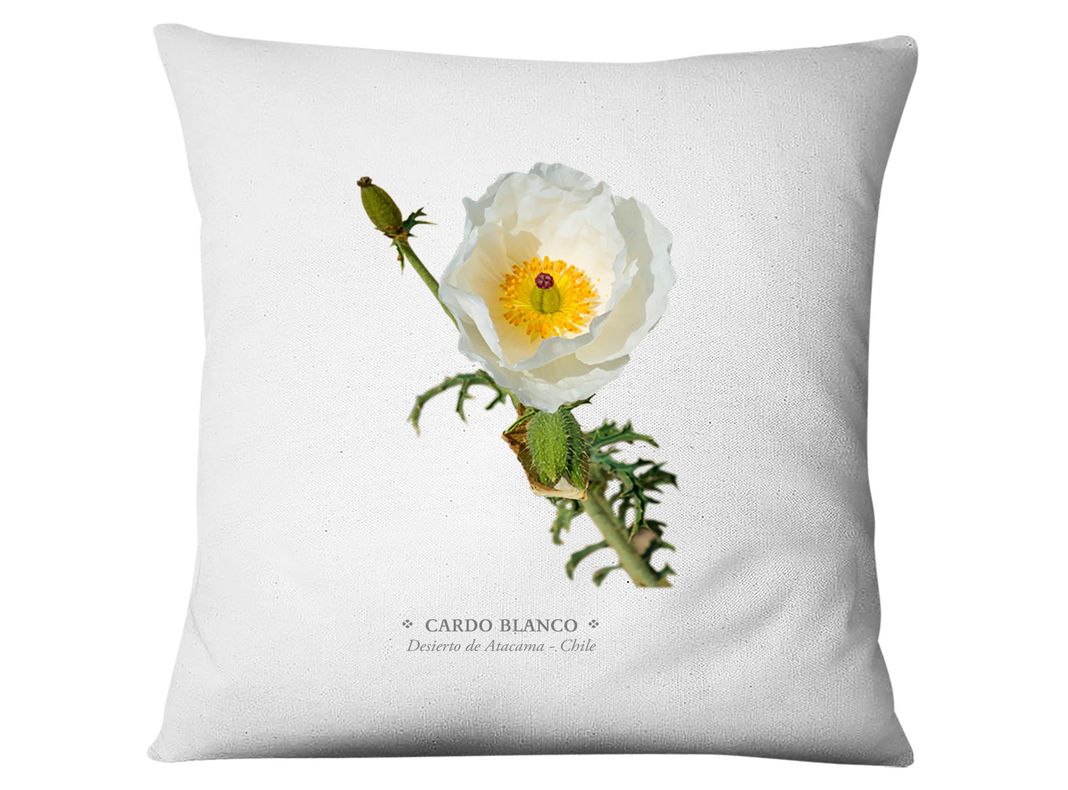 Funda Cardo Blanco