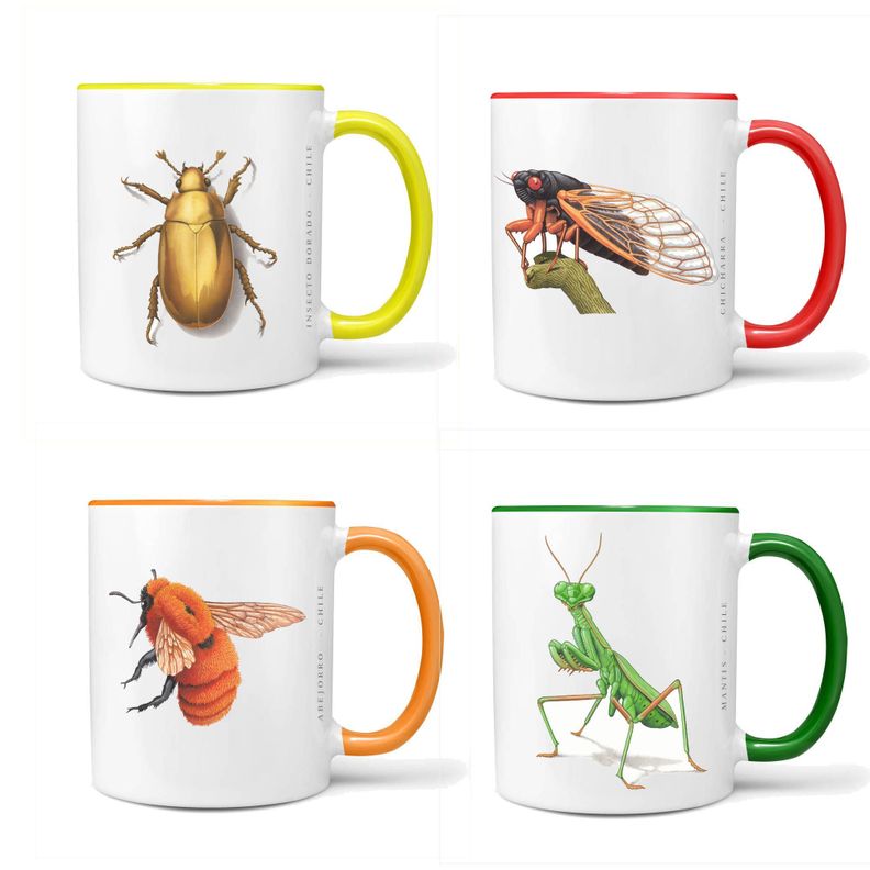 Set De 4 Tazones De Insectos N°3-0