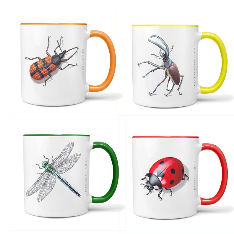 Set De 4 Tazones De Insectos N°1-0