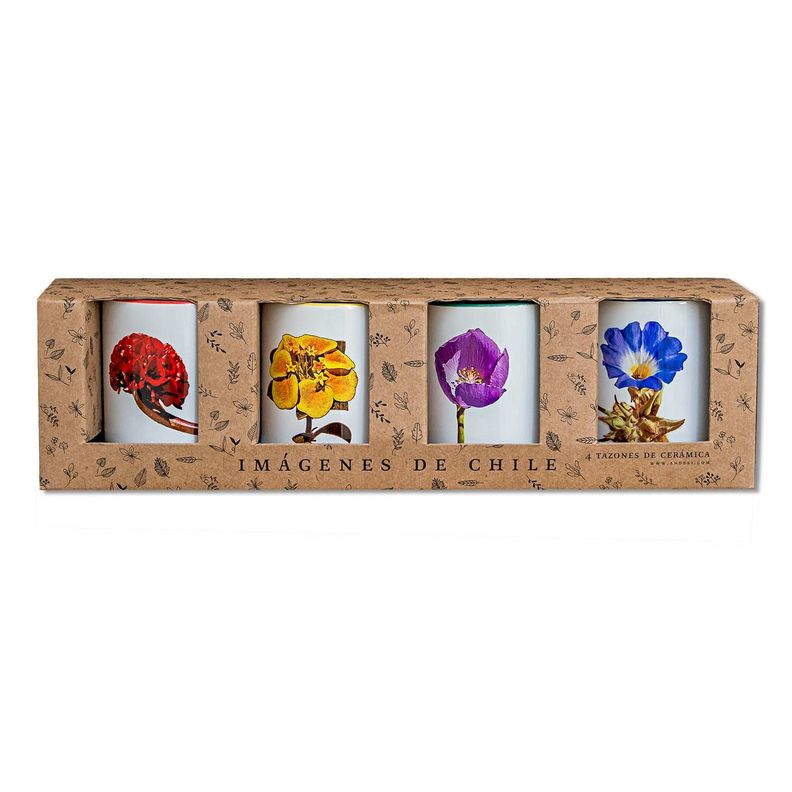 Set De 4 Tazones De Flores N°2-1