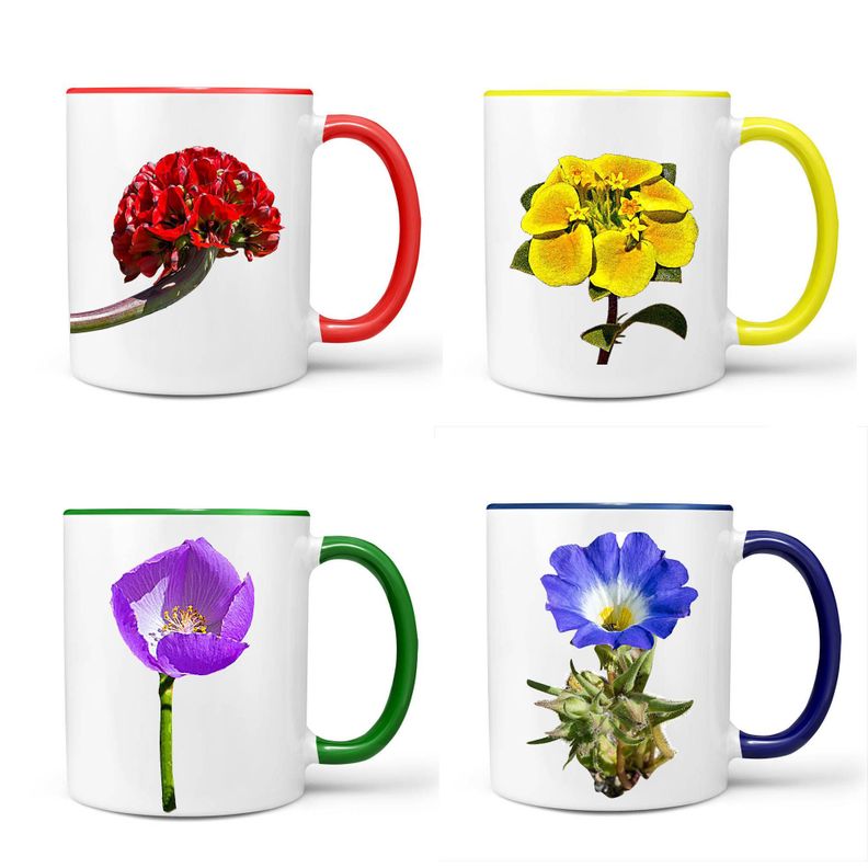 Set De 4 Tazones De Flores N°2-0