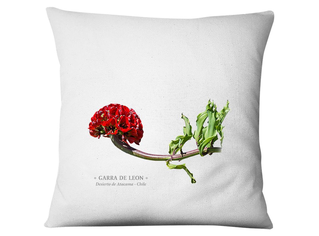 Funda Garra De Leon Blanco