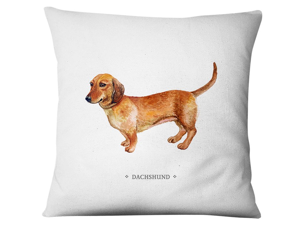 Funda Daschsund Blanco