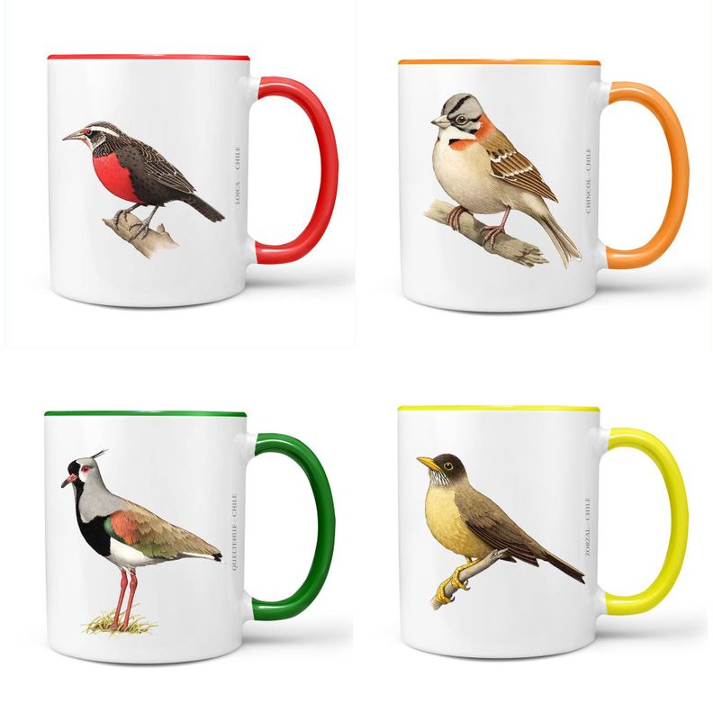Set De 4 Tazones De Pájaros N°1-0