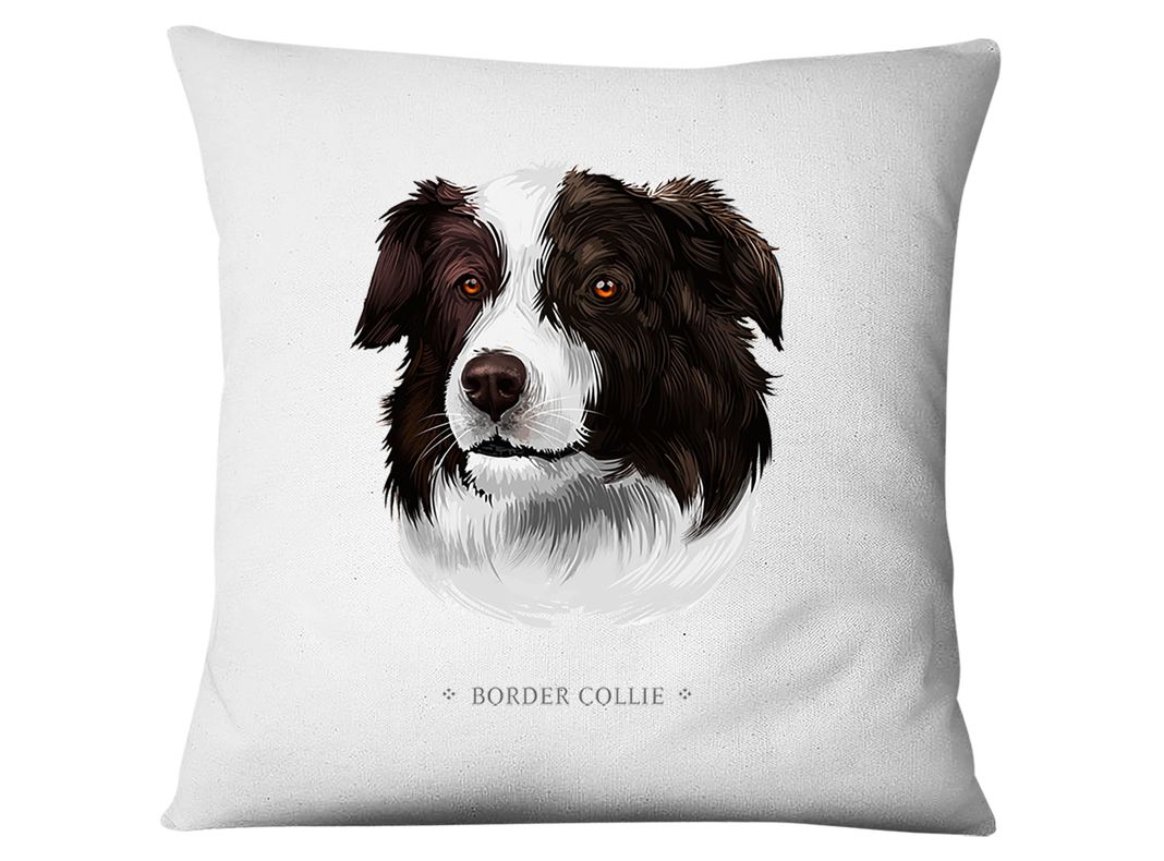 Funda Border Collie Blanco